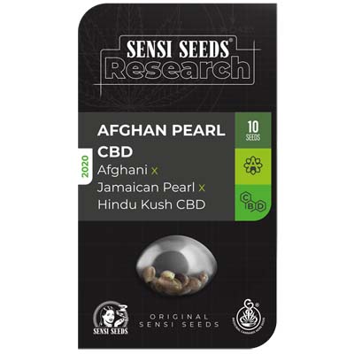 Afghan Pearl Cbd Auto Sensi Seeds