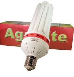 CFL Floracion 250w