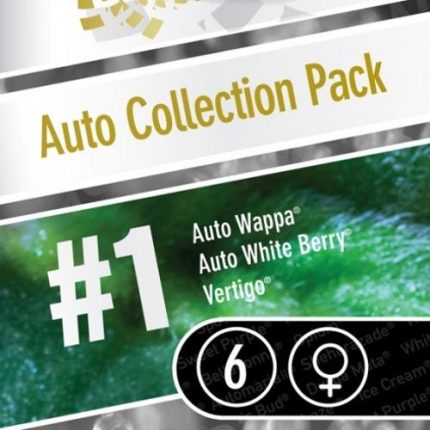 Auto Collection Pack 1 autoflorecientes