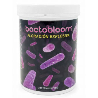 Bactobloom 950 gramos