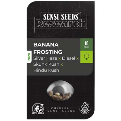 Sensi Seeds Banana Frosting