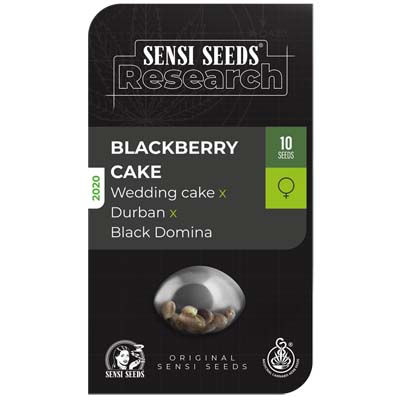 Blackberry Cake Sensi Seeds