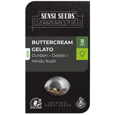 Sensi Seeds Buttercream Gelato