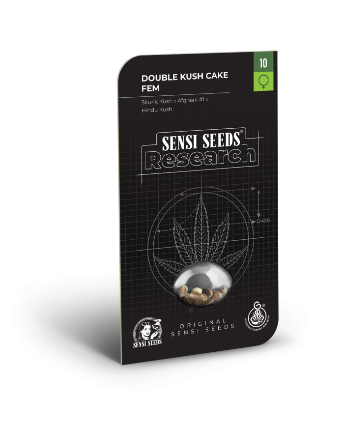 DOUBLE KUSH CAKE Sensi Seeds Research