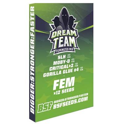 Dream Team Mix Graines féminisées