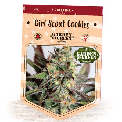 Graines féminisées Girl Scout Cookies