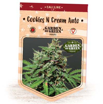 Graines Cookies N Cream Auto