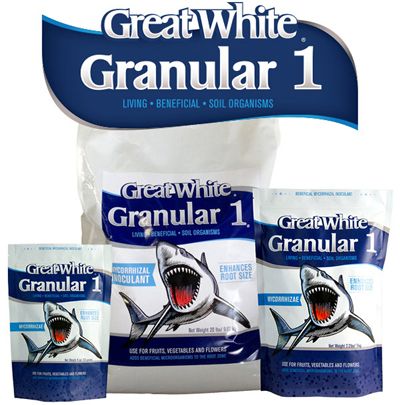 Bacterias Beneficiosas Great White Granular