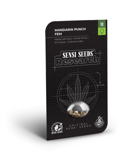 MANDARINE PUNCH Sensi Seeds Research