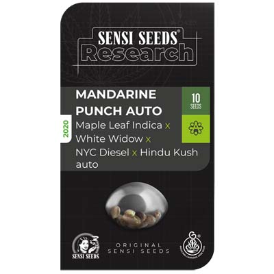 Mandarine Punch Auto Sensi Seeds