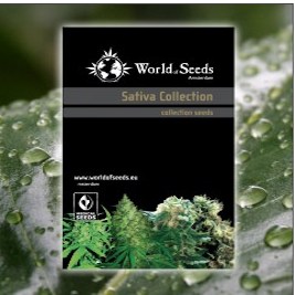 Mix Sativa Collection Regulares