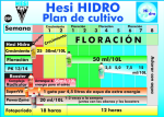 Plan de Cultivo Hesi Hidro