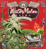 WATERMELON ULTRA TH Seeds