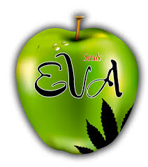 Eva Seeds_NEW