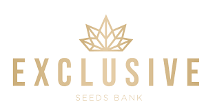 Exclusive Seeds Bank_NEW