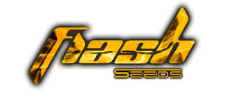 Flash seeds_NEW