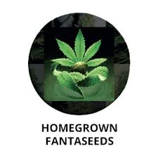 Homegrown Fantaseeds_NEW