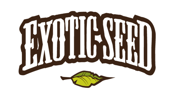 exotic-seeds