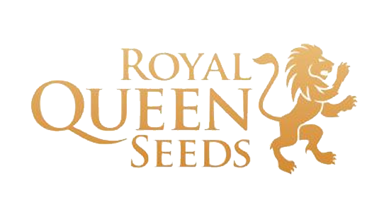 royal-queen-seeds